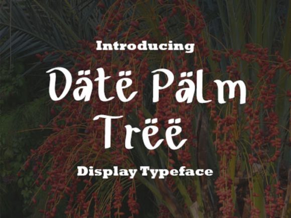 Date Palm Tree Script Font for Small Business Branding