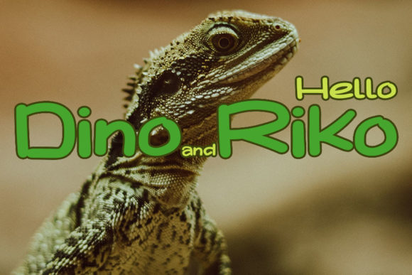 Dino Riko Script Font for Playful Handmade Designs