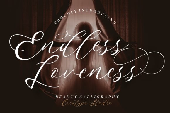Endless Loveness Font for Elegant Branding