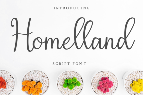 Homelland: A Delicate Script Font for Thoughtful Editorial Design