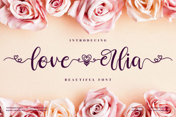 Love Erlia: A Script Handwritten Font for Elegant Digital Branding