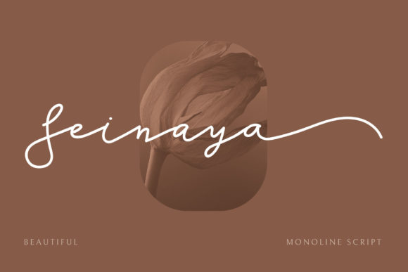 Seinaya: A Refined Script Font for Small Business Branding